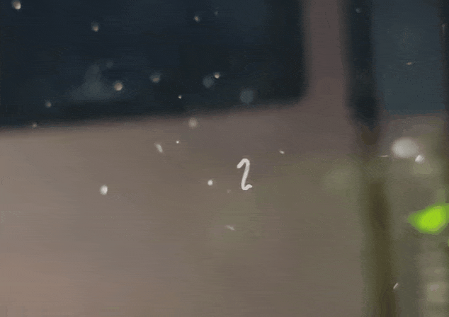 ditritusorm.gif