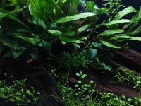1000000792.webp